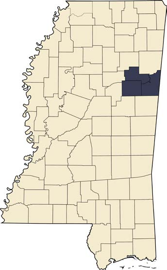 Location of the Golden Triangle Region